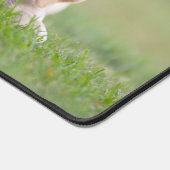 Noir Trois Lettres Monogramme Pet Photo (Coin)