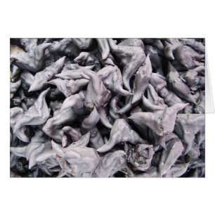 Noix de bison - Carte Caltrop pour eau