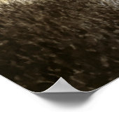 Nøkken (waterkracht) poster (Hoek)