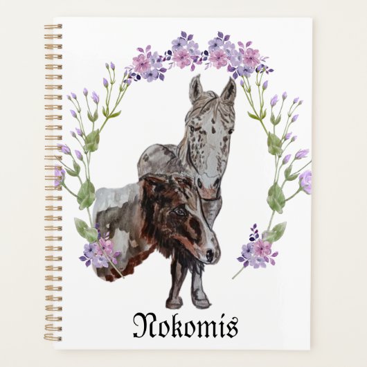 Nokomis (Devant)