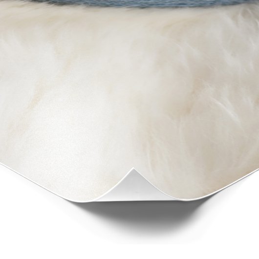 Nom bleu Date de naissance Script Bébé Photo Impri (Coin)