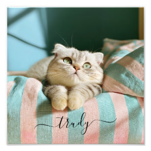 Nom de chat mignon Photo 10x10