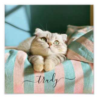 Nom de chat mignon Photo 10x10
