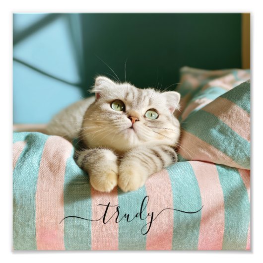 Nom de chat mignon Photo 10x10 (Devant)