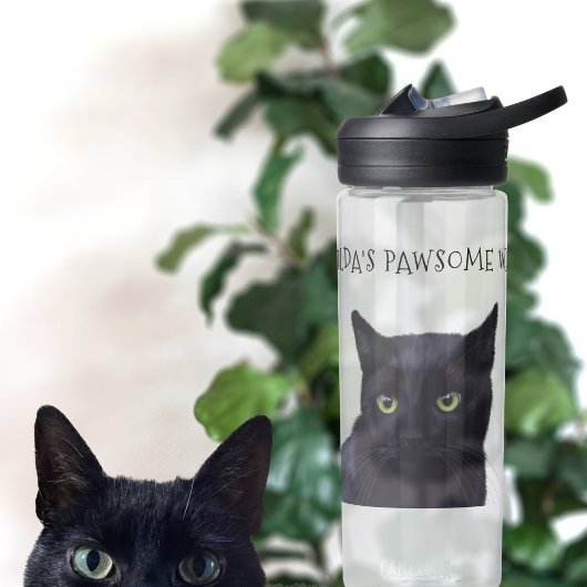 Nom de chat noir personnalisé Bouteille d'eau Paws