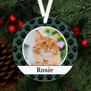 Nom de chat vert chasseur Photo Script Empreinte d