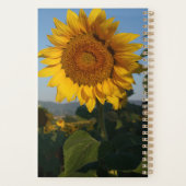 nom de la photo de tournesol (Dos)