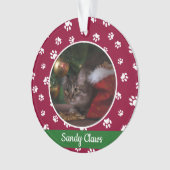 Nom de la photo du chat mignon Année Empreintes de (devant)