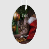 Nom de la photo personnalisée pour animaux de comp (devant)