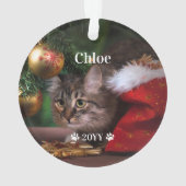 Nom de la photo personnalisée pour animaux de comp (dos)