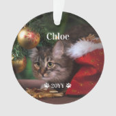 Nom de la photo personnalisée pour animaux de comp (devant)