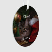 Nom de la photo personnalisée pour animaux de comp (devant)