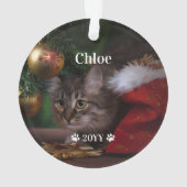 Nom de la photo personnalisée pour animaux de comp (dos)