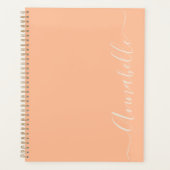 Nom de typographie de script Peach (Devant)