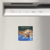 Nom de votre aimant (In Situ (Lave-vaisselle))