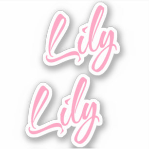 Nom décoratif Lily en Sticker rose x2