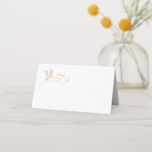 Nom du Baby shower de la cigogne Cartes de place (Devant)