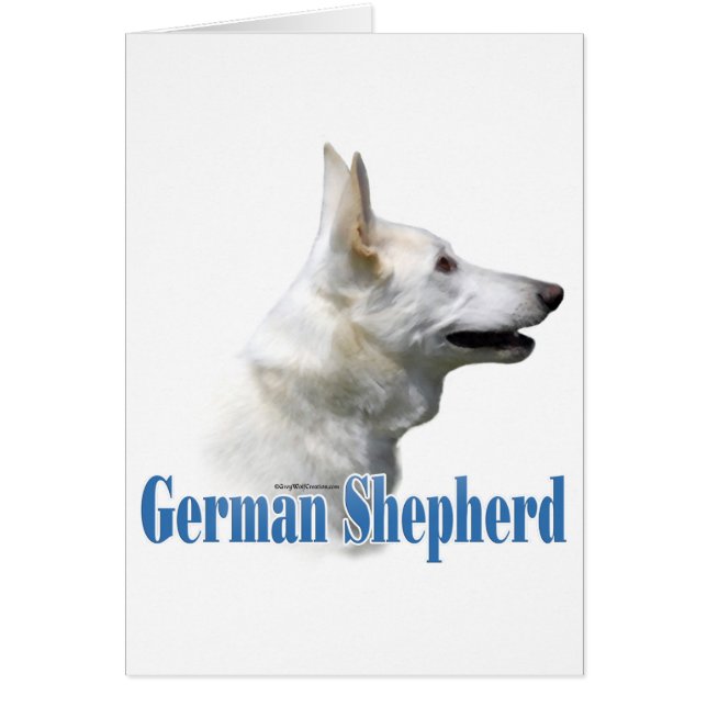 Nom du berger allemand blanc (Devant)