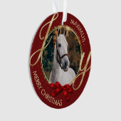 Nom du cheval personnalisé Photo (devant)