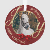 Nom du cheval personnalisé Photo (dos)