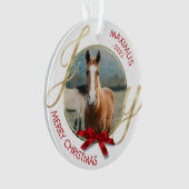 Nom du cheval personnalisé Photo Equestrian (devant)