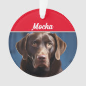 Nom du chien Chocolat Labrador Photo de chien Noël (devant)