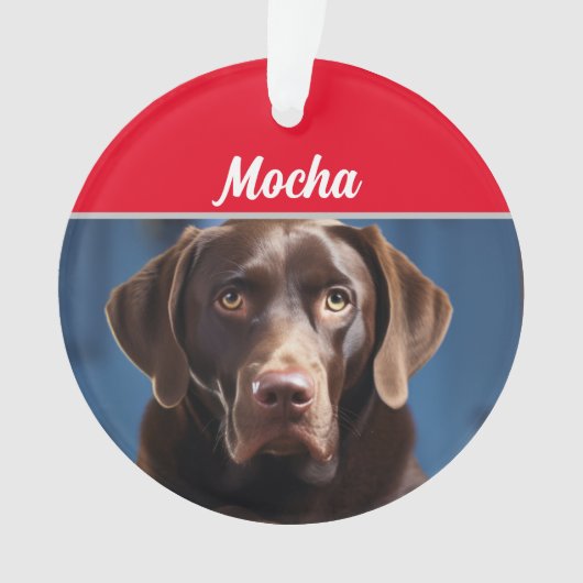 Nom du chien Chocolat Labrador Photo de chien Noël (devant)