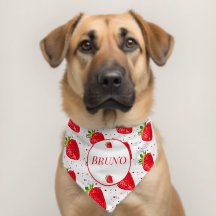 Nom du chien de coeur rouge fraise