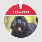 Nom du chien de Terrier russe noir Photo Noël (devant)