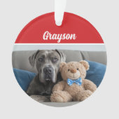 Nom du chien du grand Danois Photo de Noël (devant)