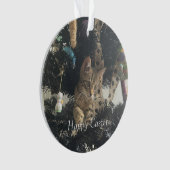 Nom du script de photo de Pâques pour animaux (devant)