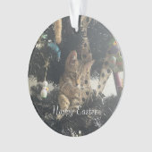 Nom du script de photos de Pâques (devant)