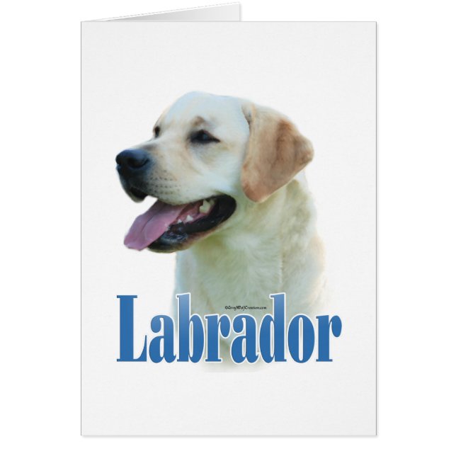 Nom du trieur du Labrador jaune (Devant)