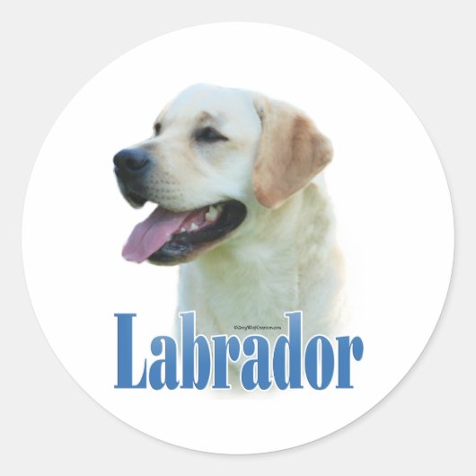 Nom du trieur du Labrador jaune - Sticker (Devant)