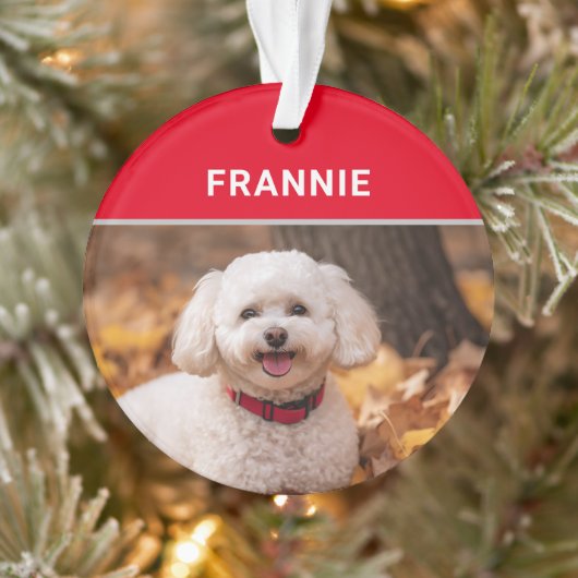 Nom et photo du chien Bichon Frise Noël (Arbre)