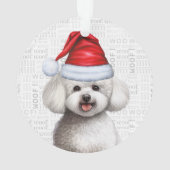 Nom et photo du chien Bichon Frise Noël (dos)