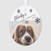 Nom et photo du chien de Noël du chiot (devant)