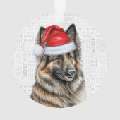Nom et photo du chien Tervuren belge Noël (dos)