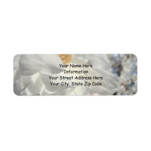 Nom Étiquette de adresse Fleurs de Magnolia Blanch