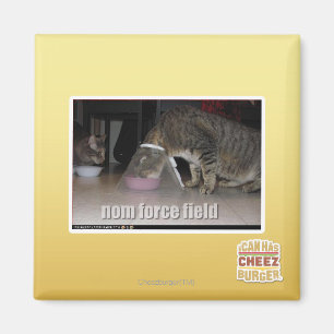 nom force field magneet