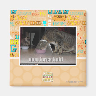 nom force field magneet