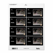 nom krachtveld etiket (Full Sheet)