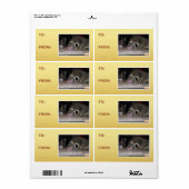 nom krachtveld etiket (Full Sheet)