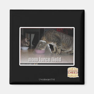 nom krachtveld magneet