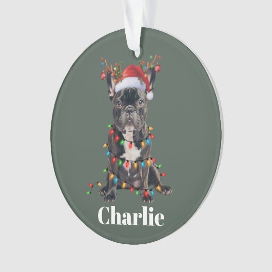 Nom personnalisé Chien de taule français de Noël (devant)