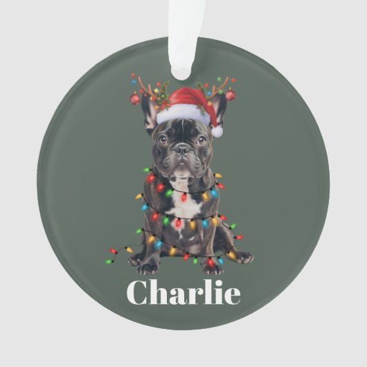Nom personnalisé Chien de taule français de Noël (devant)