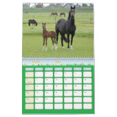 Nom personnalisé et calendrier du cheval de l'anné (Mar 2026)