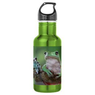 Nom personnalisé Frog Bouteille d'eau en acier ino