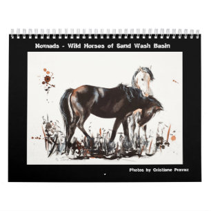 Nomads - Sand Wash Basin Wilde Paarden Kalender