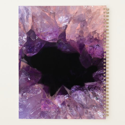 Nomination professionnelle d'améthyste pourpre (Dos)